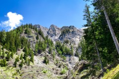 IMG_5893_jpg