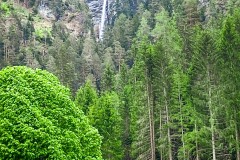 IMG_5958_jpg