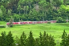 IMG_5960_jpg