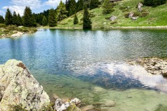 IMG_6009_jpg