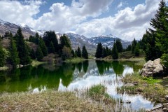 IMG_6013_jpg