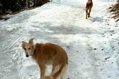 IMG_5033