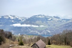 IMG_5056