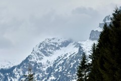 IMG_5060