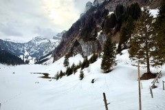 IMG_5063