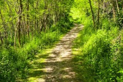 IMG_5592_jpg