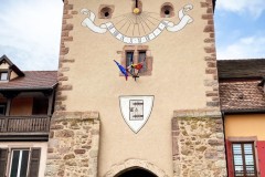 IMG_5708_jpg