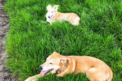 IMG_5758_jpg