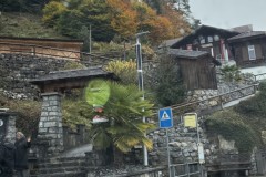 IMG_2017