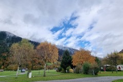 IMG_7979