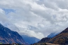 IMG_7981