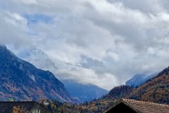 IMG_7982
