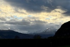 IMG_7993