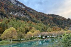 IMG_7995