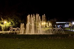 IMG_7999