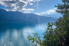 IMG_2613_jpg