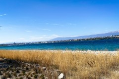 IMG_1124_jpg