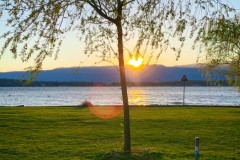 36_Payerne