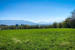 46_Payerne