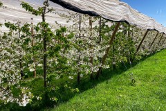 57_Payerne