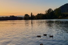 IMG_1880