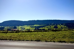 IMG_7689
