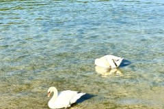IMG_7700