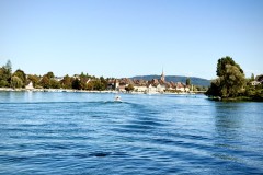 IMG_7703