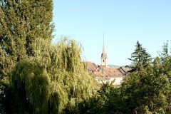 IMG_7704