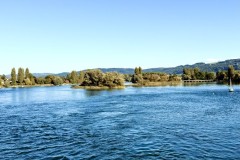 IMG_7705