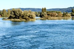 IMG_7706