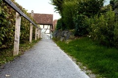 IMG_7734