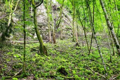 IMG_9750_jpg