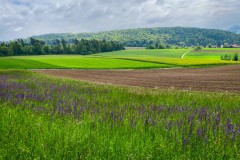 IMG_9755_jpg