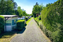 IMG_9864_jpg