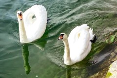 IMG_9187_jpg