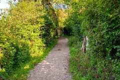 IMG_7313_jpg