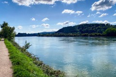 IMG_7316_jpg