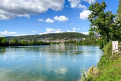 IMG_7317_jpg