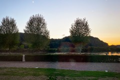 IMG_7330_jpg