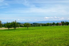 IMG_9662_jpg