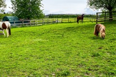 IMG_9670_jpg