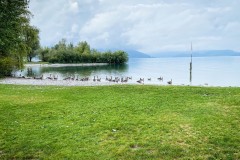 IMG_3016_jpg