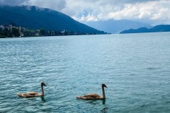 IMG_3020_jpg